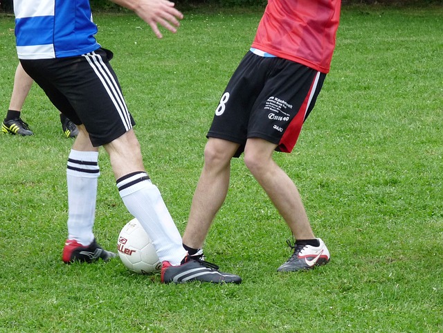 形成庞大的 形成庞大的